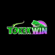 TOKEKWIN - Petualangan Fantasi Dalam Dunia ARPG